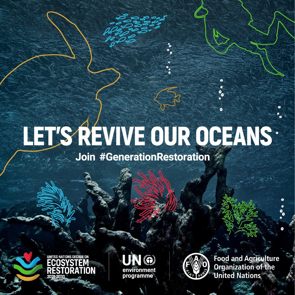 WORLD OCEAN DAY 2027