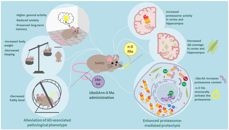 Graphical abstract