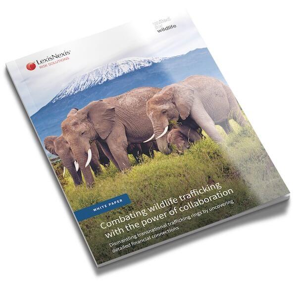 An image of the front cover of the report featuring an African Elephant